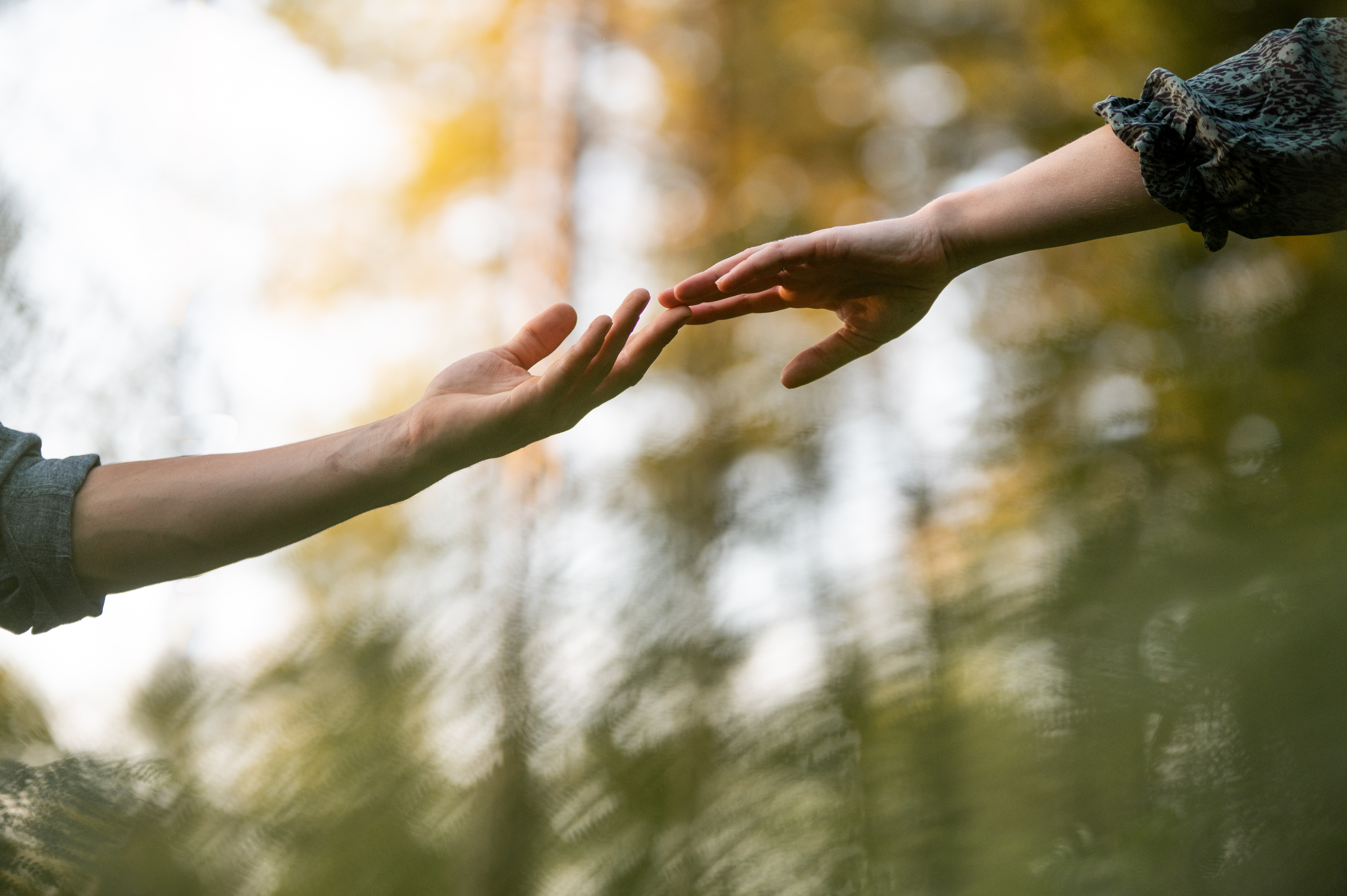 Séance photo équestre – Complicité entre cavalier et cheval
