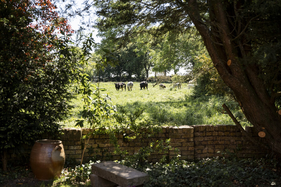 Photographie de mariage – Julie Delevaque Hauts-de-France